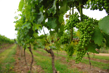 Similar image 2164330