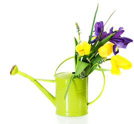 Similar image 2164354