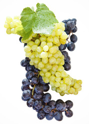 Similar image 2164375