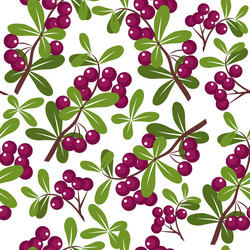 Similar image 2164423