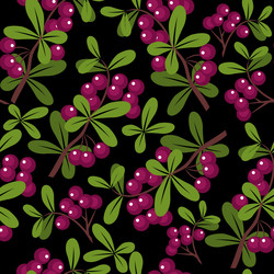 Similar image 2164426