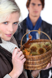 Similar image 2164445