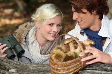 Similar image 2164455