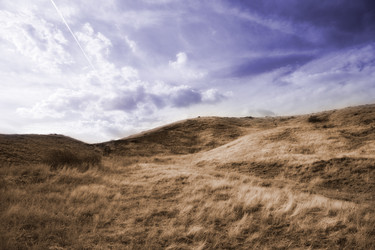 Similar image 2164466