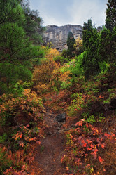 Similar image 2164469