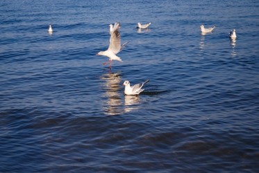 Similar image 2164471