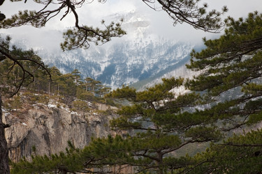 Similar image 2164472