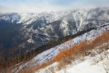 Similar image 2164473