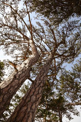 Similar image 2164474