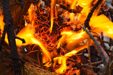 Similar image 2164492