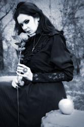 Similar image 2164495