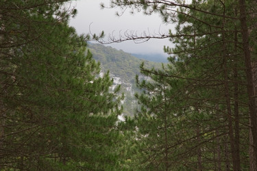 Similar image 2164494