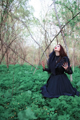 Similar image 2164511