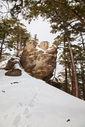 Similar image 2164522