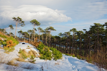 Similar image 2164524