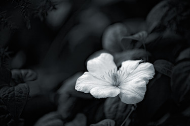 Similar image 2164526