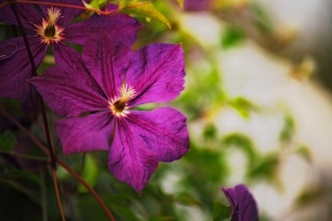 Similar image 2164528