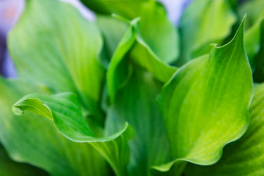 Similar image 2164540