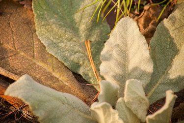 Similar image 2164543