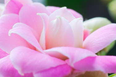 Similar image 2164544