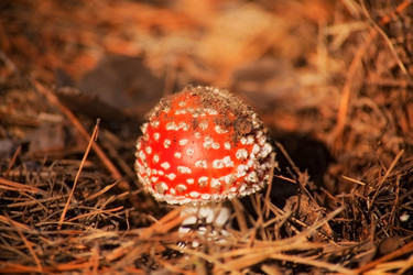 Similar image 2164546