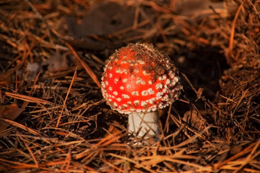 Similar image 2164547