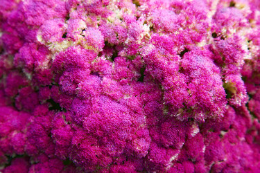 Similar image 2164549