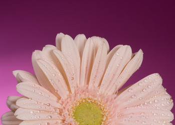 Similar image 2165622