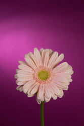 Similar image 2165623