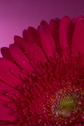 Similar image 2165626