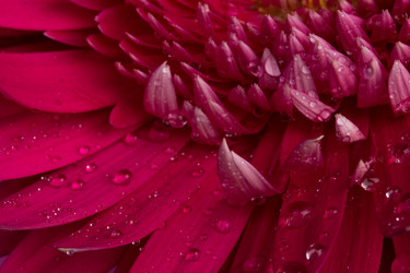 Similar image 2165628