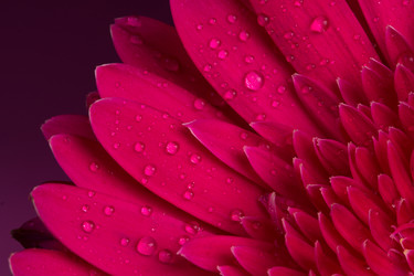 Similar image 2165629