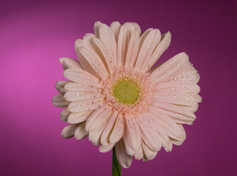 Similar image 2165631