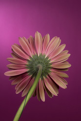 Similar image 2165632