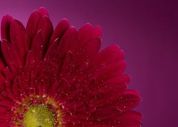 Similar image 2165634