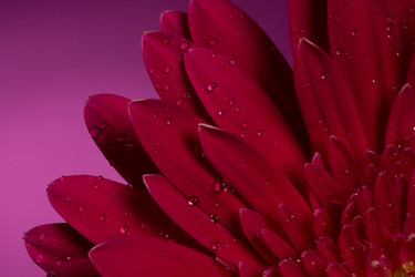 Similar image 2165636