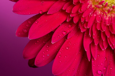 Similar image 2165637