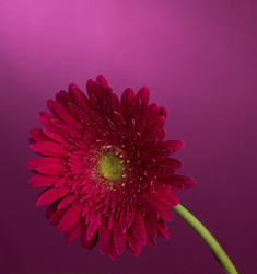 Similar image 2165638