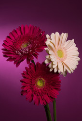 Similar image 2165640