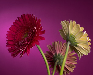 Similar image 2165641