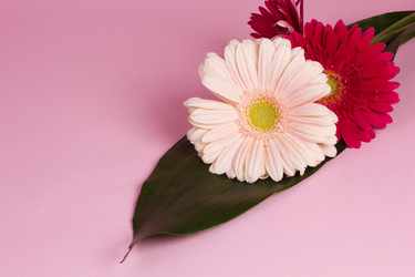 Similar image 2165642