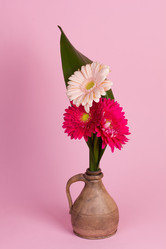 Similar image 2165643