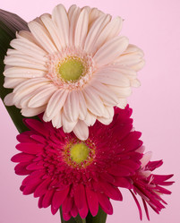 Similar image 2165644