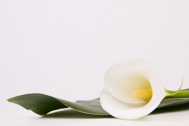 Similar image 2165646