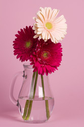 Similar image 2165647