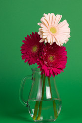 Similar image 2165648