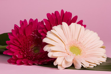 Similar image 2165651