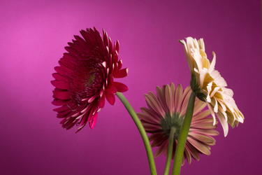 Similar image 2165653