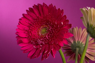 Similar image 2165654