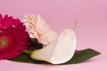 Similar image 2165655